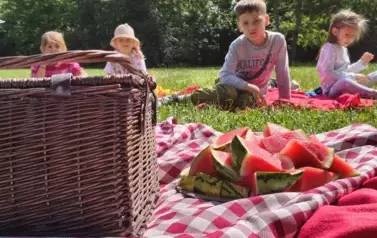 Czytanie na polanie 2