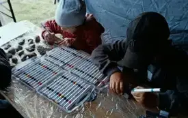 Piknik Dumni, kim jesteśmy w Kwakowie (9)