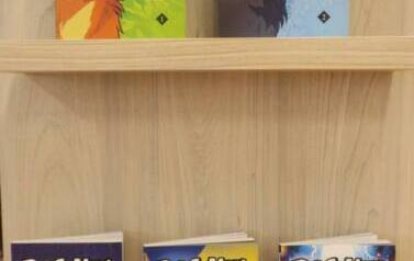 Nowości książkowe zakupione w Bibliotece Publicznej w Kobylnicy