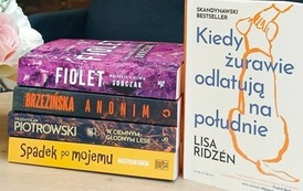 Książki zakupione do Biblioteki Publicznej w Kobylnicy