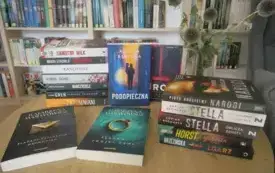 Nowości w BP w Kobylniy zakupione z dofinansowania w ramach NPRCz