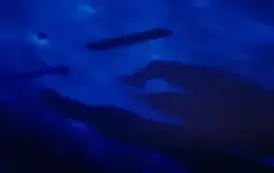 Noc Bibliotek -2025 - Filia w Kwakowie