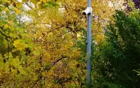 Centrum Kultury i Promocji w Kobylnicy utworzyło bezpieczną Strefę Rekreacji w Parku im. Pierwszych Mieszkańc&oacute;w Kobylnicy! 3