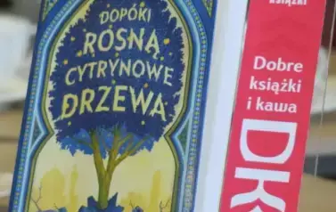Dyskusyjny Klub Książki dla dorosłych- Kobylnica 15